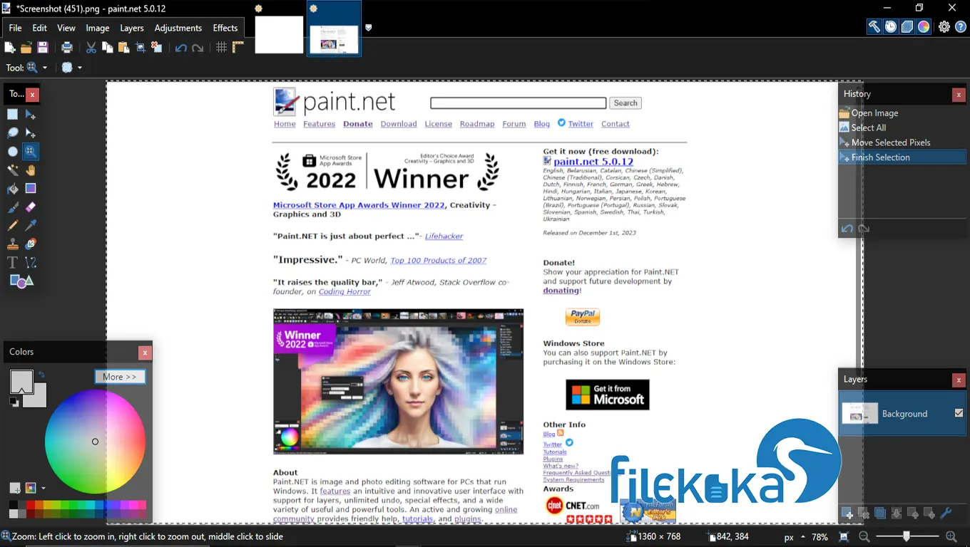 Paint.NET